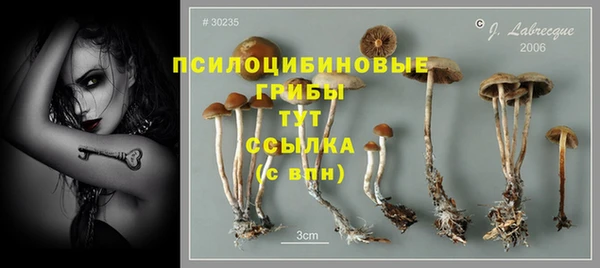 альфа пвп Карпинск