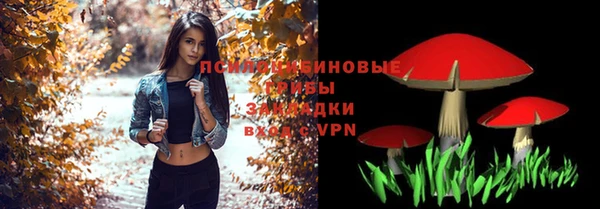 спиды Карталы